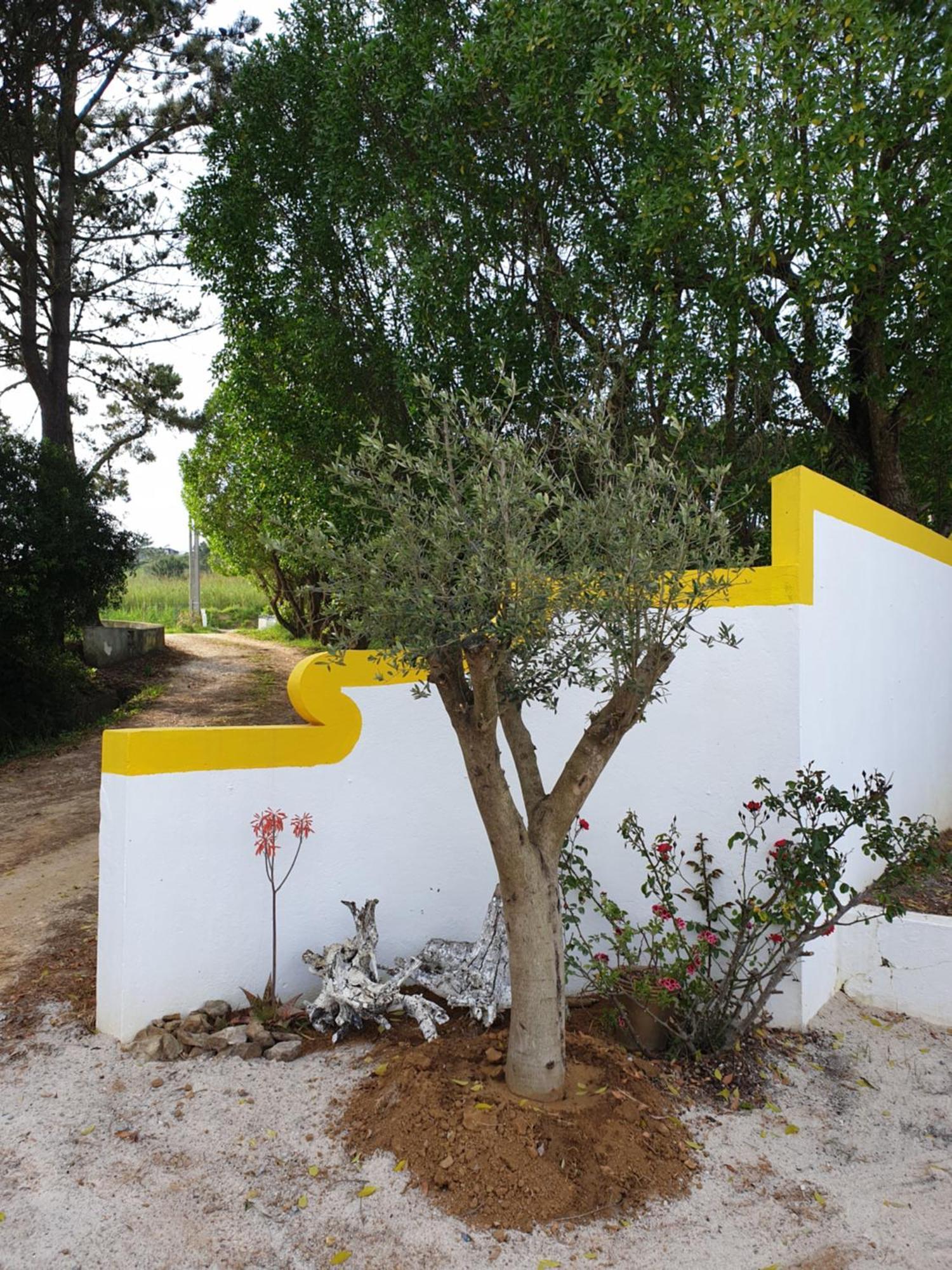 Apartamento Sondela Self Catering São Martinho do Porto Exterior foto